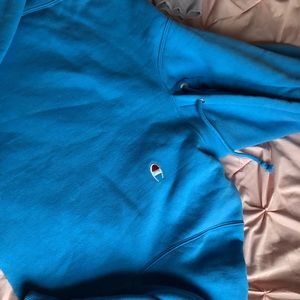 Champion crop top hoodie